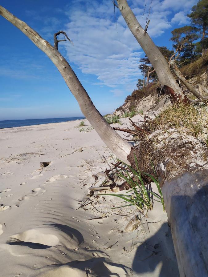 Biale Domki Kopalino Exteriér fotografie